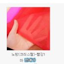 산호주단 이미지