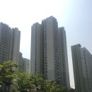 수영로 325번길 이미지