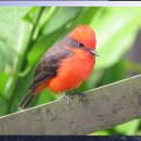 이가미용실 이미지