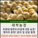 새싹3호농장 이미지