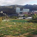 서림동-27 이미지