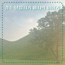방내리 | [경주] 뚜벅이 혼자 경주 당일치기 다섯 번째, 분황사에서 경주역까지 집으로 돌아가는 길