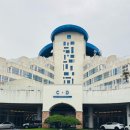 (주)플레이단디 | 삼척 쏠비치에서 보낸 짜릿한 휴가 후기, 방문 전에 꼭 읽고 가기로 해요 &lt;체크인, 전기차 충전, 맛집...