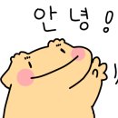 깜돌게코샵 이미지