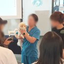 신규동물병원 이미지