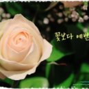 마음에 이미지