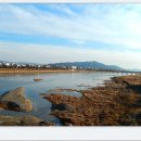 동대부속유치원 이미지