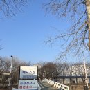 양재시민의숲 공원 테니스장 이미지