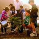 아쇼카빌 이미지