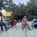 2026.7.25 Mt. Timber 이미지