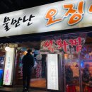 물만난오징어 이미지