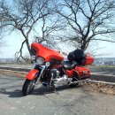 black pear 이미지