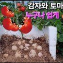 접붙이기(Grafting) 이미지