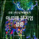 강릉 2박3일 여행 후기, 꽃사슴보러 떠나는 아르떼 뮤지엄 강릉