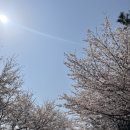 왕산이로 이미지