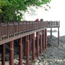 위드해지개 이미지