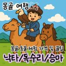 몽골 낙타체험/독수리체험/승마체험, 후기 및 가격