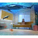 정원비디오 이미지