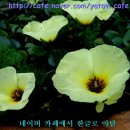 자생초농장 이미지