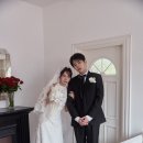 세호테일러