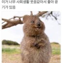 생활웃음 이미지