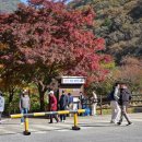 중앙1길~우암로 | [정읍] 1박2일 내장산 단풍여행 | 내장산 케이블카