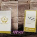 스테파노콘티