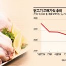고삐 풀린 닭고기값, 초복 앞두고 '진정'... "반값 삼계탕 집에서 드세요" 이미지