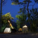 추억의시작 이미지