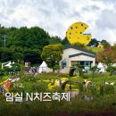 갈담2길 10-3 | 2025 임실 치즈축제 후기 일정 입장료 먹거리 라인업 주차 꿀팁