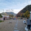 똥개애견카페 이미지