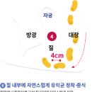 질유산균 안먹고 걍 바르거든 이미지