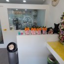 루미살롱 이미지