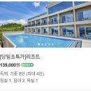 [인기숙소] 더끌림 온수수영장 | 10만 원 대 제주 수영장 숙소 아이랑, 누에베 리조트