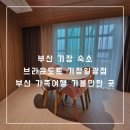 브라운도트호텔 기장점 | 부산 기장 숙소 브라운도트 기장일광점 가성비 좋은 호텔 파티룸 내돈내산 후기