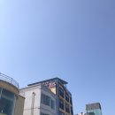 남애항물회 이미지