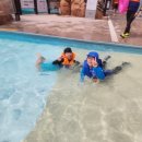 국가대표 모아 태권도장 이미지