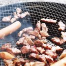 별다리 캠핑 이미지