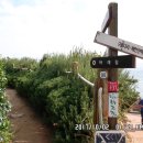 가천목장 이미지