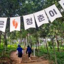 목포부주초등학교 | 맨발걷기효능 효과와 목포 맨발걷기 좋은곳, 초당산 산책로 아이와 다녀와보니!!