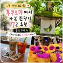한신당약국 | [일본 여행 회고 ⑤] | 후쿠오카에서 가 본 관광지 7곳 추천 솔직 후기✨ 다자이후부터 돈키호테까지!