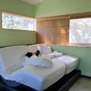 금강산숯불갈비 이미지