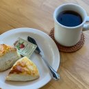 프롬제이 이미지