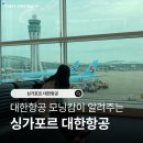 645 | 싱가포르 대한항공 기내식 후기 KE645 항공권