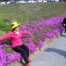 천장호 출렁다리 이미지