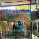 나비농장2 이미지