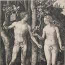 알브레히트 뒤러(Albrecht Dürer)의 아담과 이브(Adam and Eve) 이미지