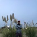 대청공원골프랜드 이미지