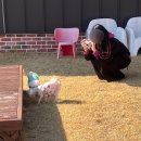 우티랑 | 밀양 애견독채펜션 우티랑 내돈내산 후기 아쉬운 영업종료 소식