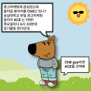 수민약국 | 🎀25.01~06